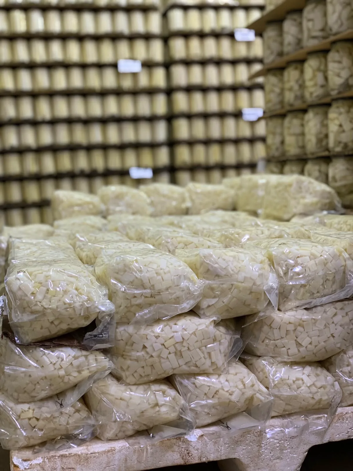 Estoque da fábrica: vidros envasados e bags de palmito prontos para expedição